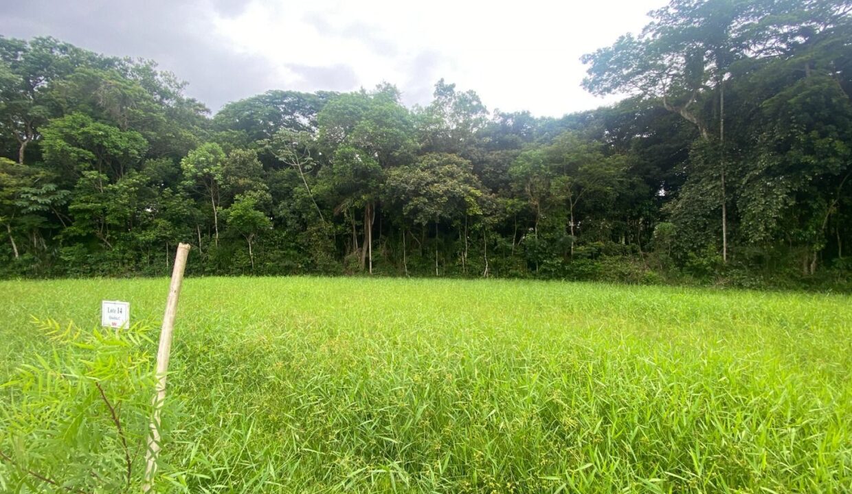 11632RV_foto_2025-12-31_00-50-04-1