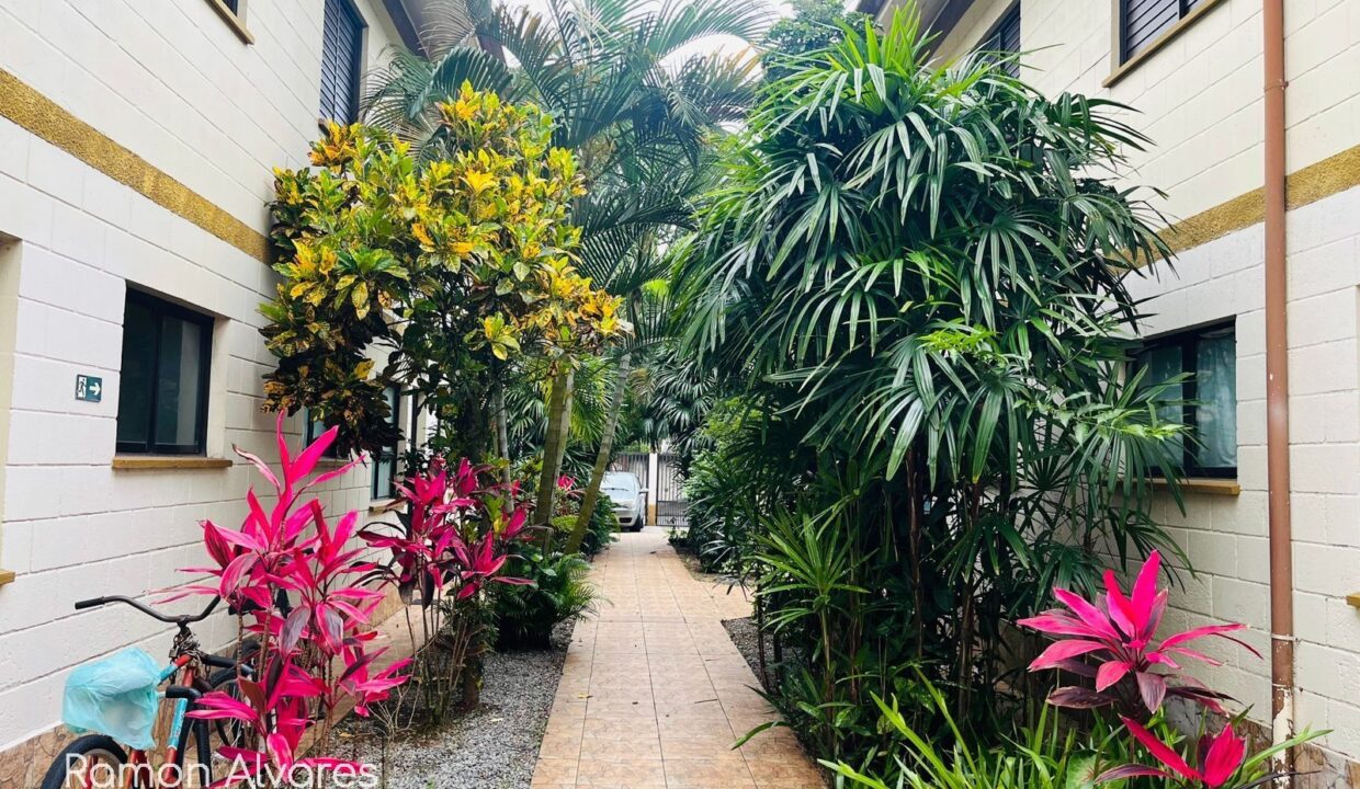 02286AV_foto_2026-01-30_04-51-06-8