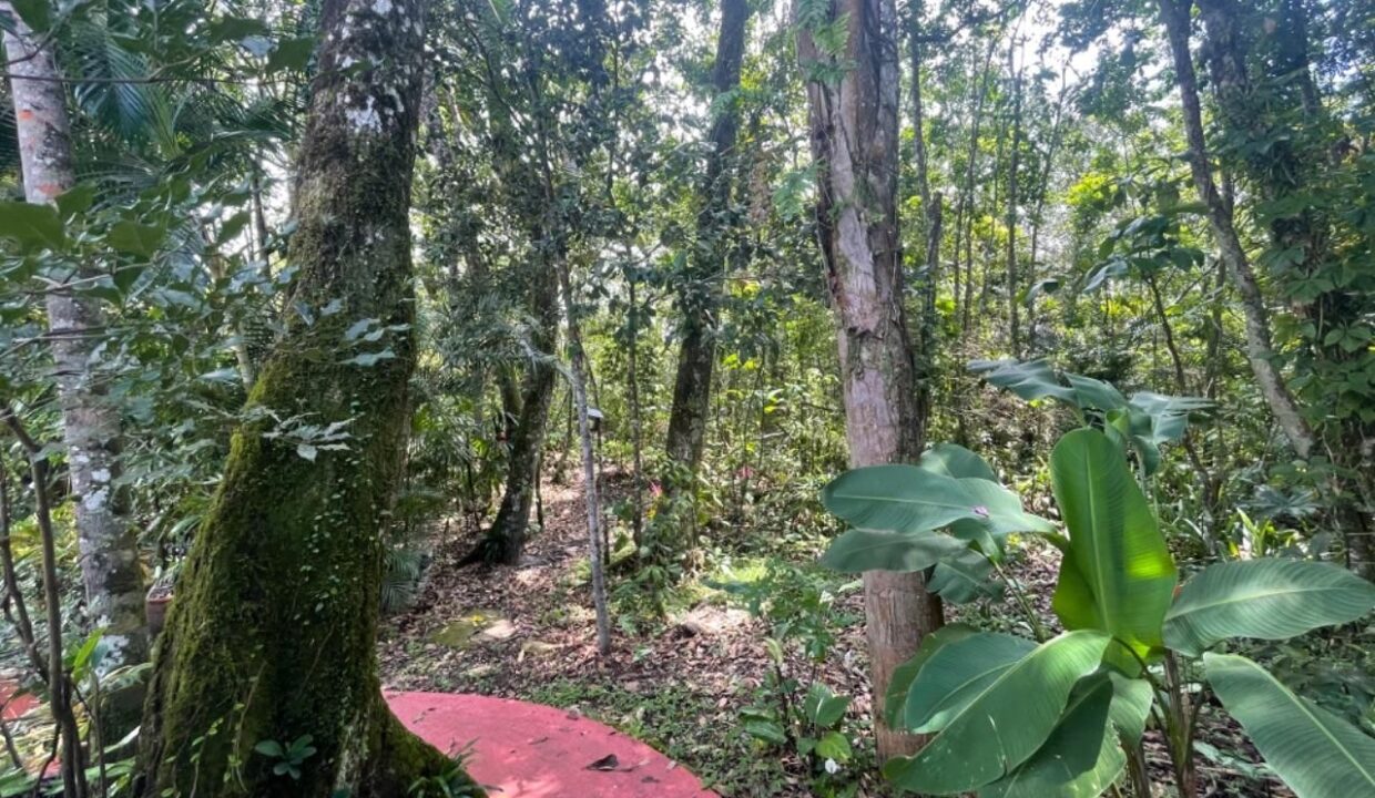 10204RV_foto_2026-01-30_16-00-03-23