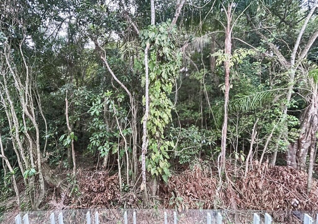 12720RV_foto_2026-01-31_01-40-03-6