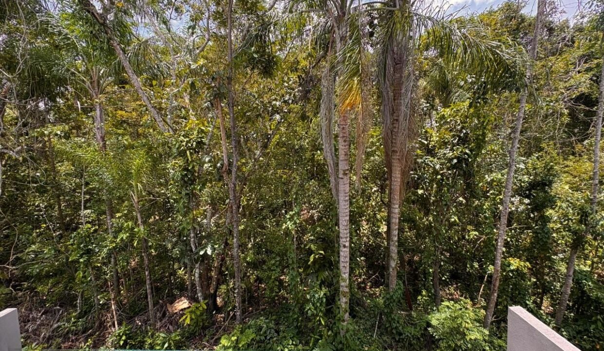 12878RV_foto_2026-01-31_02-20-03-19