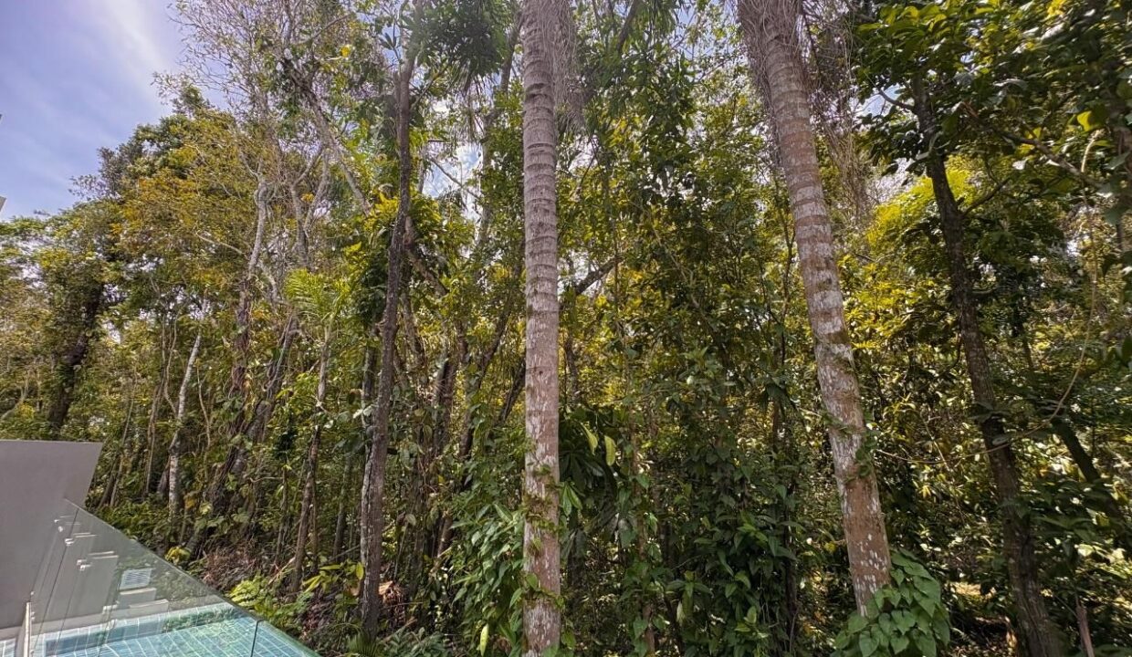 12878RV_foto_2026-01-31_02-20-03-2