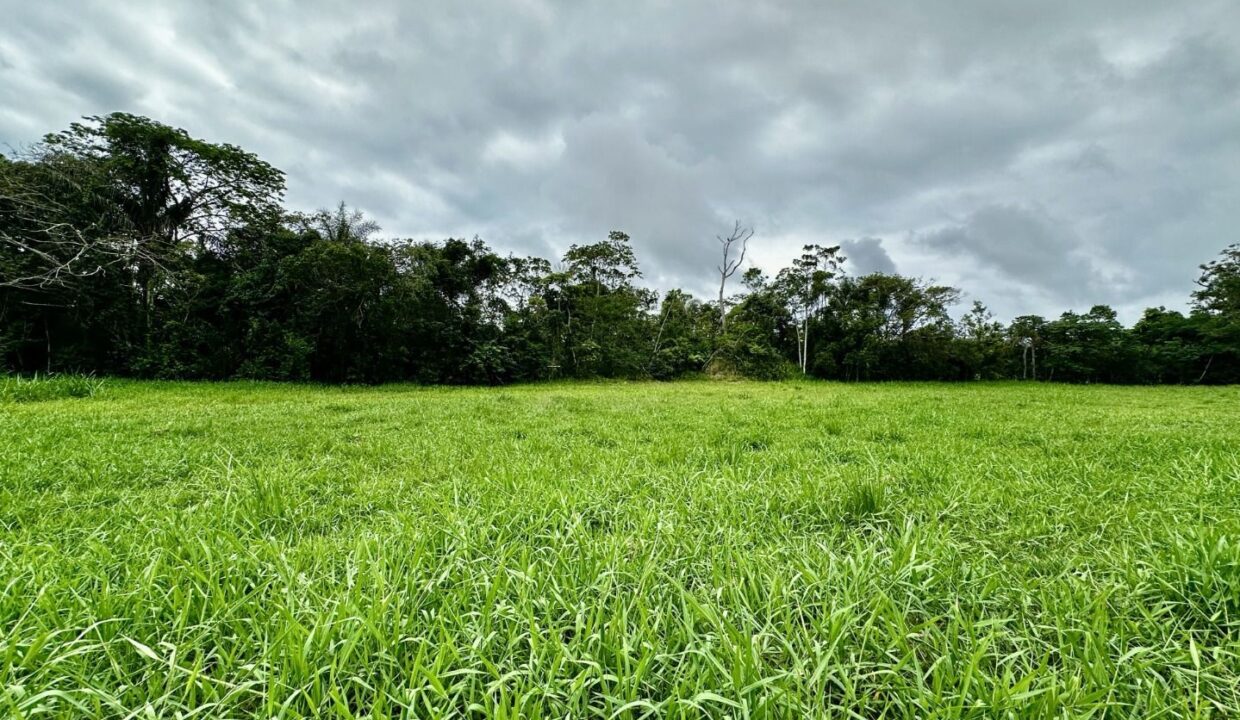 12901RV_foto_2026-01-31_02-50-03-1