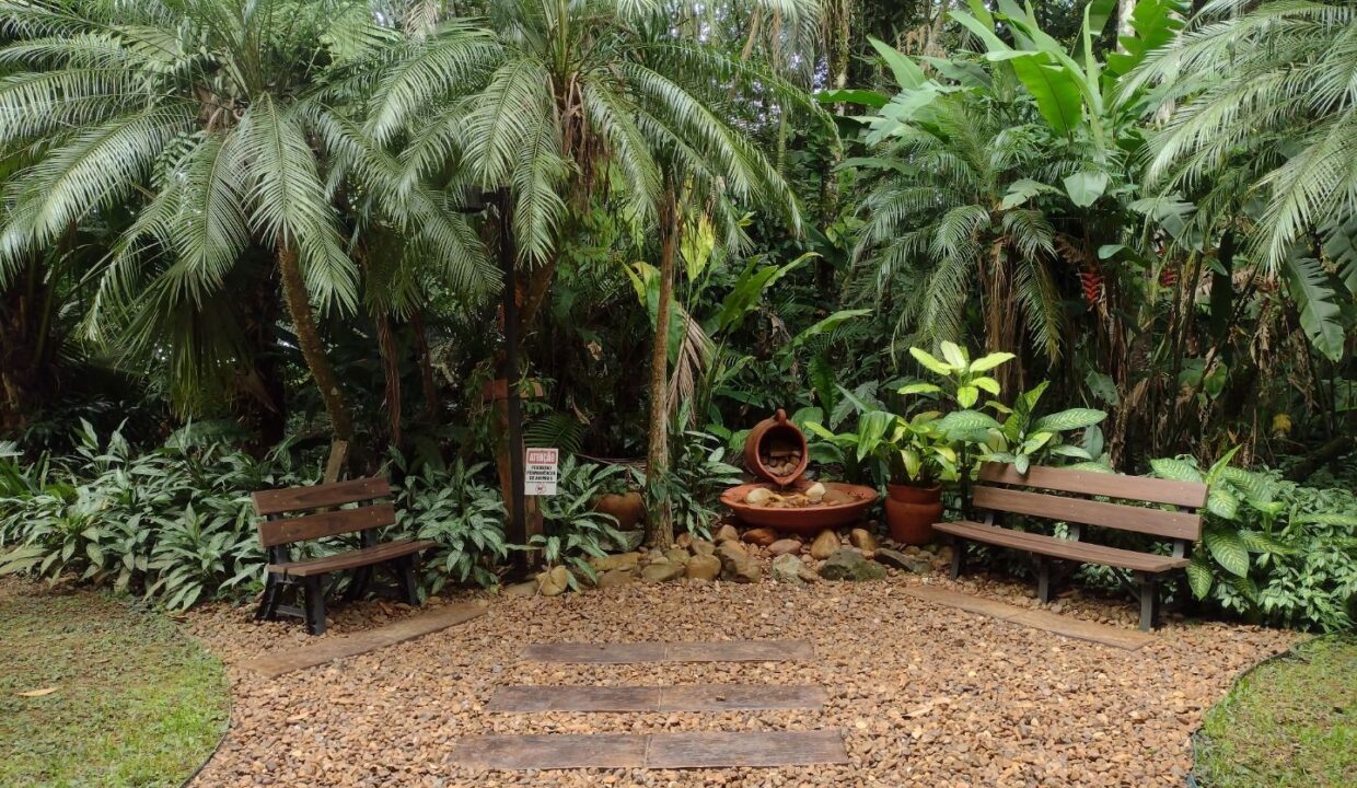 05229RV_foto_2026-02-25_02-31-37-13