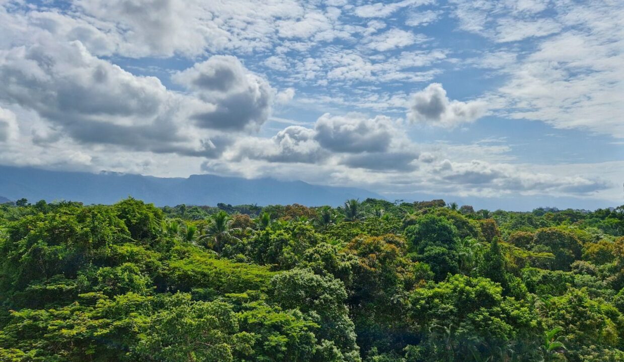 01845RV_foto_2026-03-25_00-41-51-7