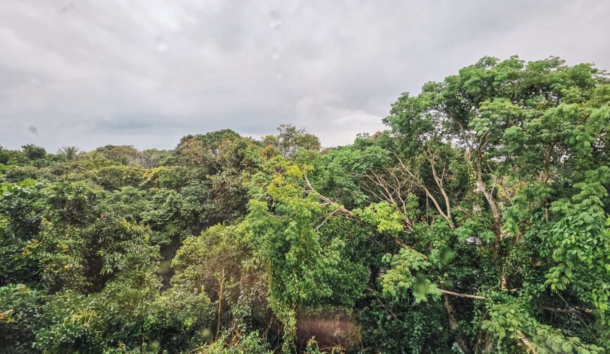 11202RV_foto_2026-03-25_02-11-21-30