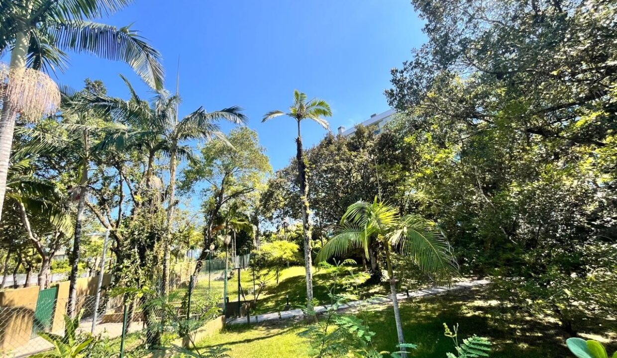 11813RL_foto_2026-04-14_04-41-13-21