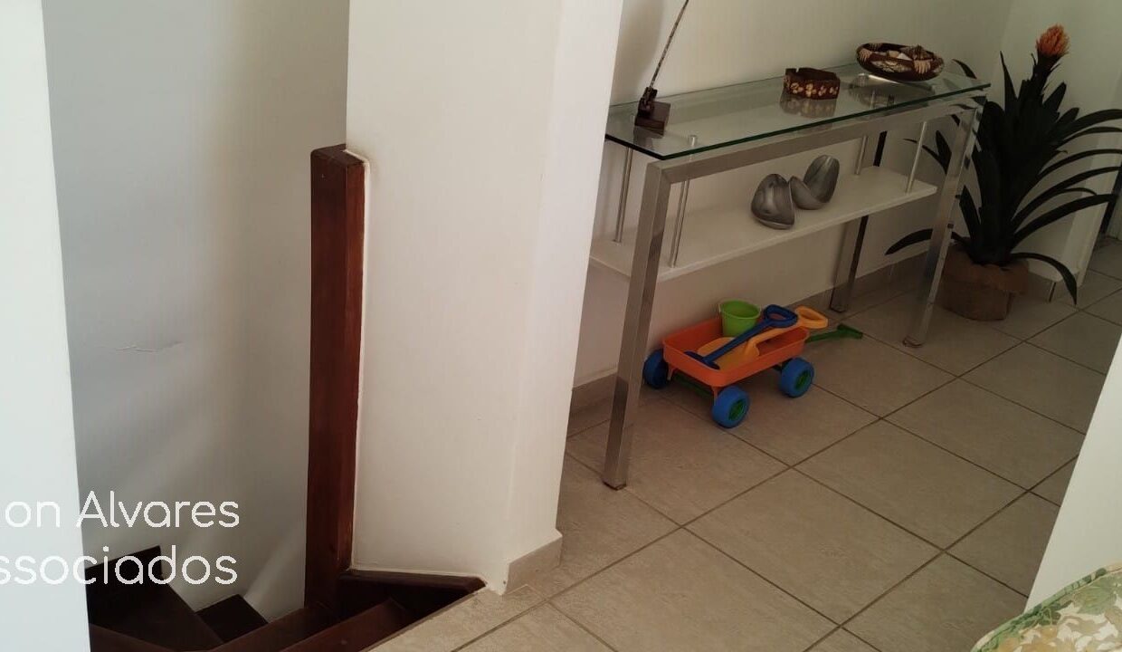 01937AV_foto_2026-08-25_02-40-03-12